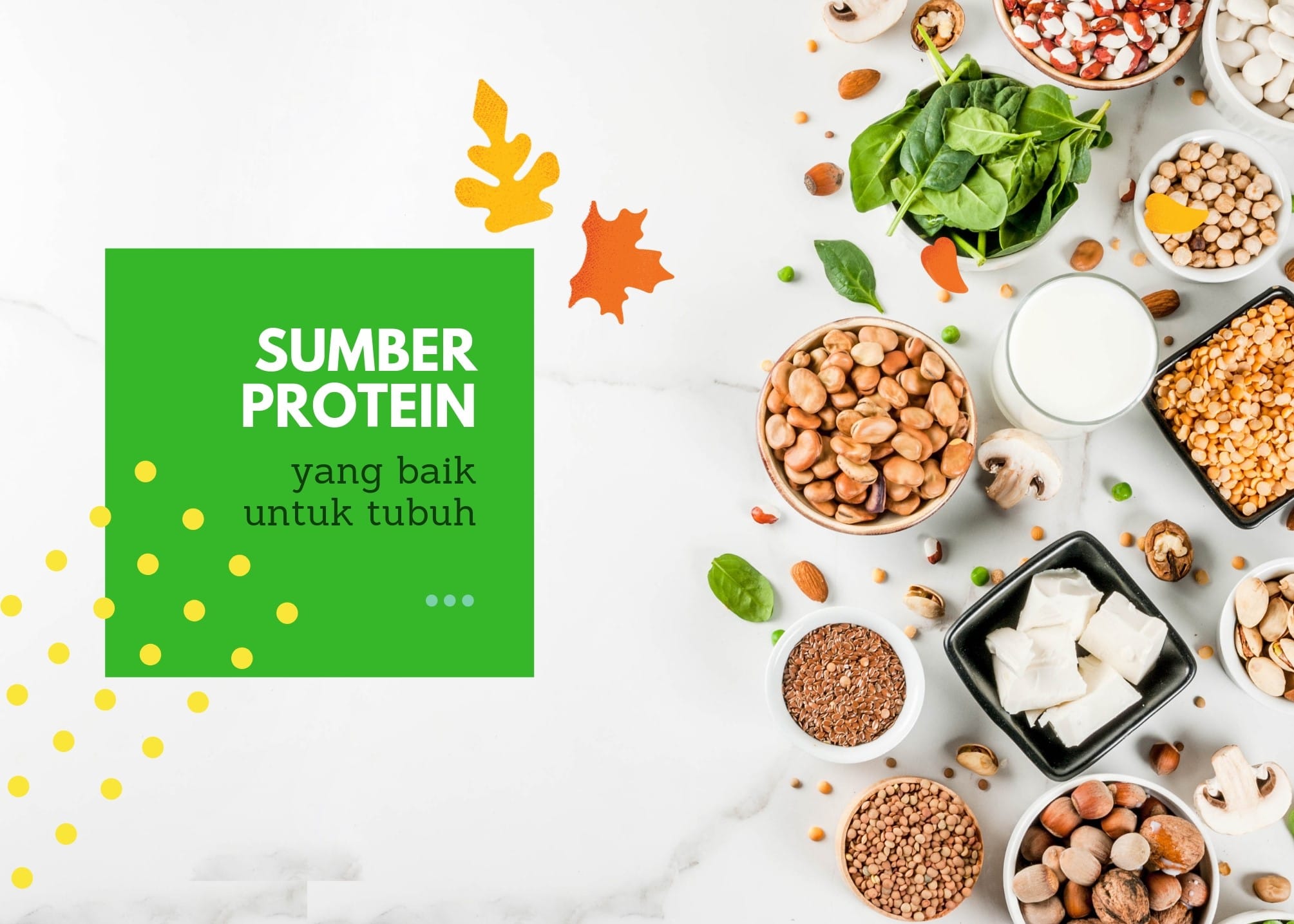 makanan tinggi protein