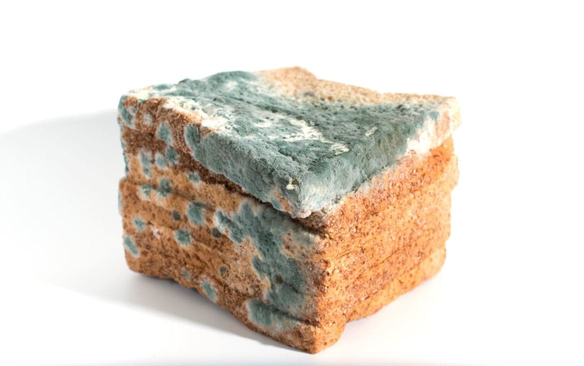 Makan makanan kedaluwarsa