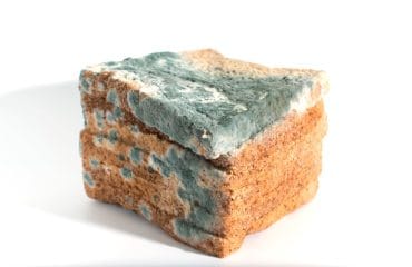 Makan makanan kedaluwarsa