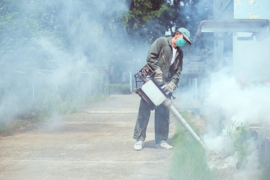 Chikungunya Disebabkan Oleh