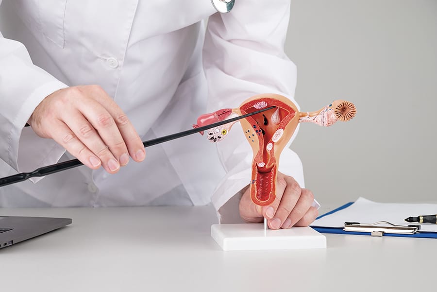 fungsi uterus