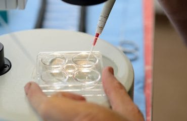 biaya program bayi tabung