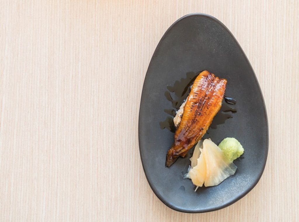 manfaat belut untuk ibu hamil