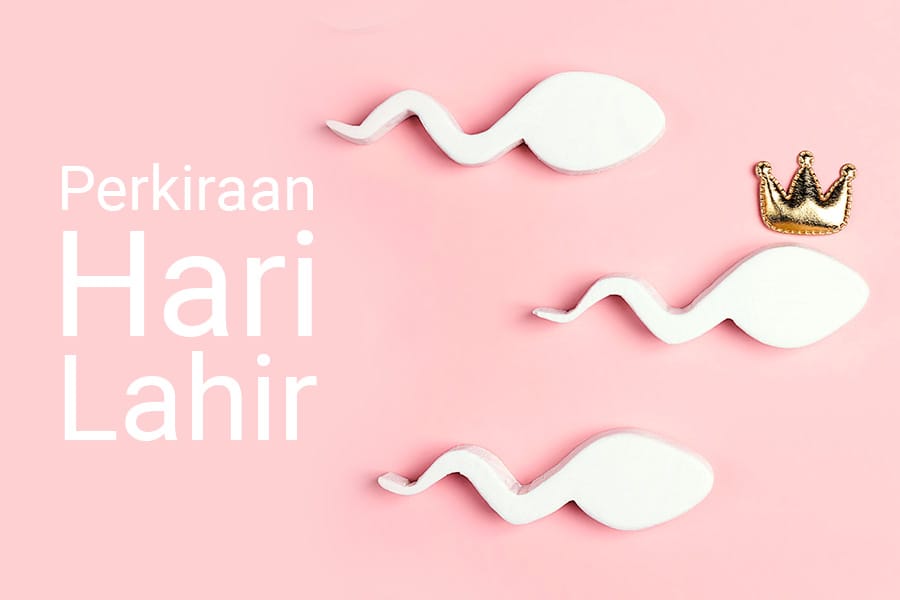 kalkulator hari perkiraan lahir