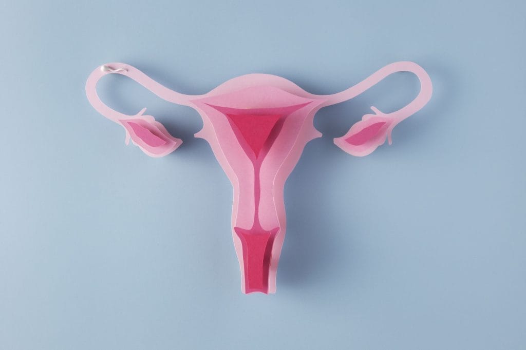 sistem reproduksi wanita