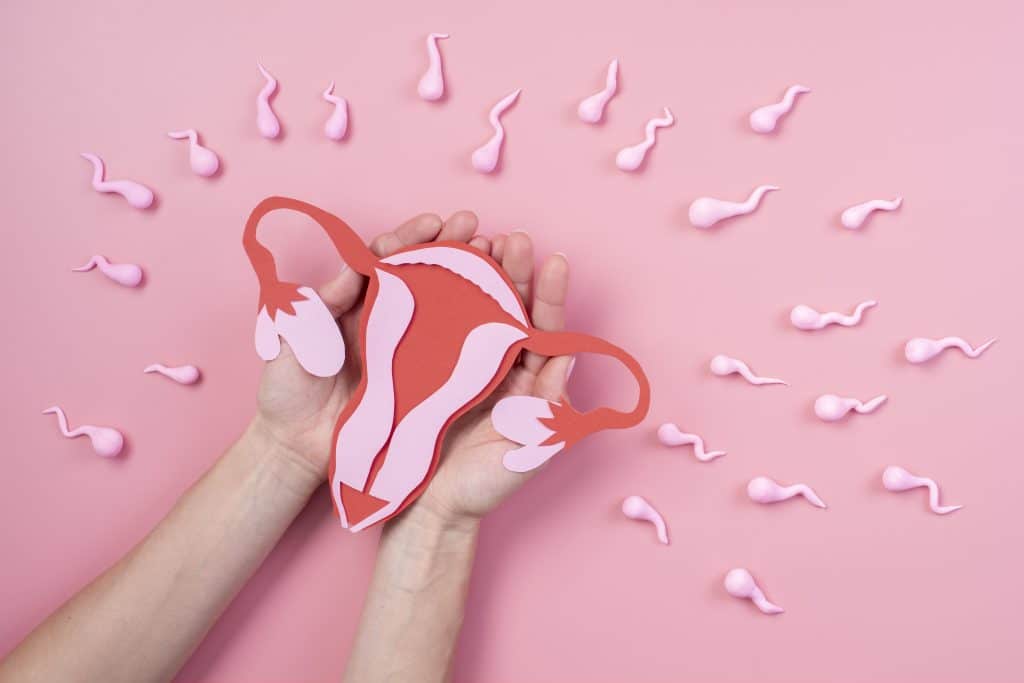 pembekuan sel telur memegaruhi kesuburan