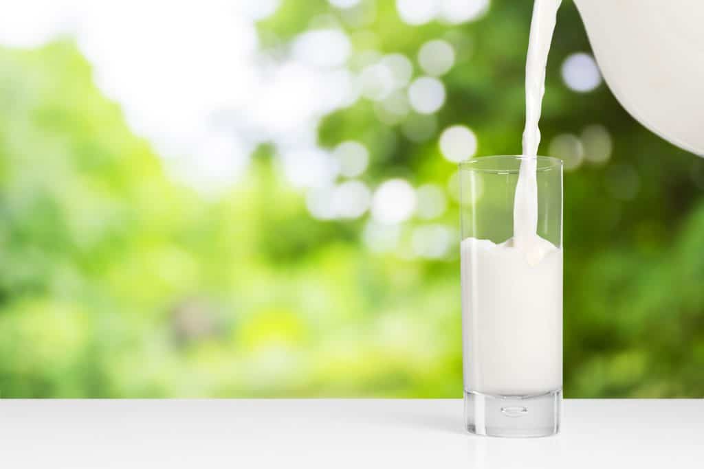 Manfaat Minum Susu 