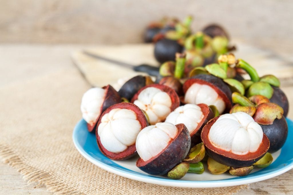 manfaat buah manggis