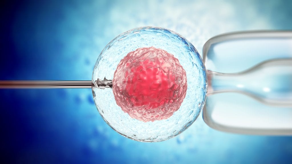 Proses Inseminasi Buatan