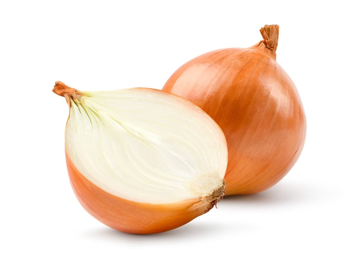 manfaat bawang bombay