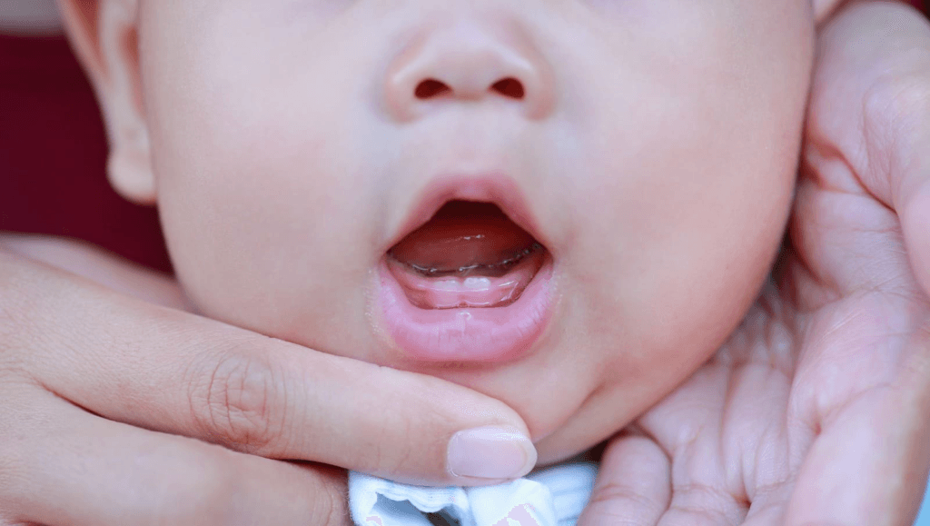 bayi tumbuh gigi