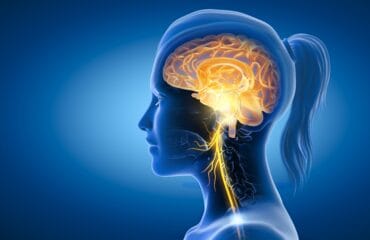 saraf kranial adalah