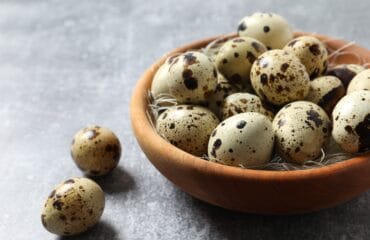 manfaat telur puyuh