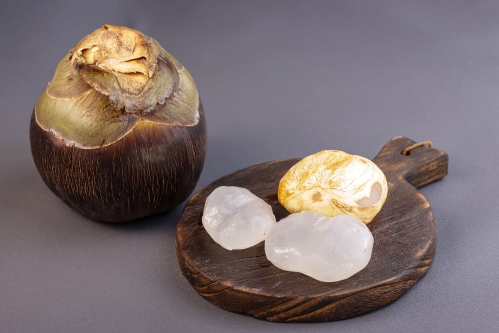 manfaat buah lontar