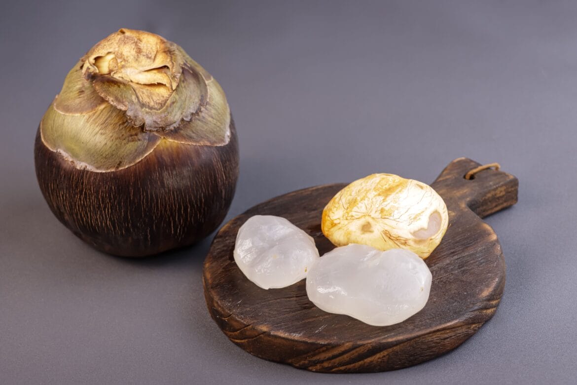 manfaat buah lontar