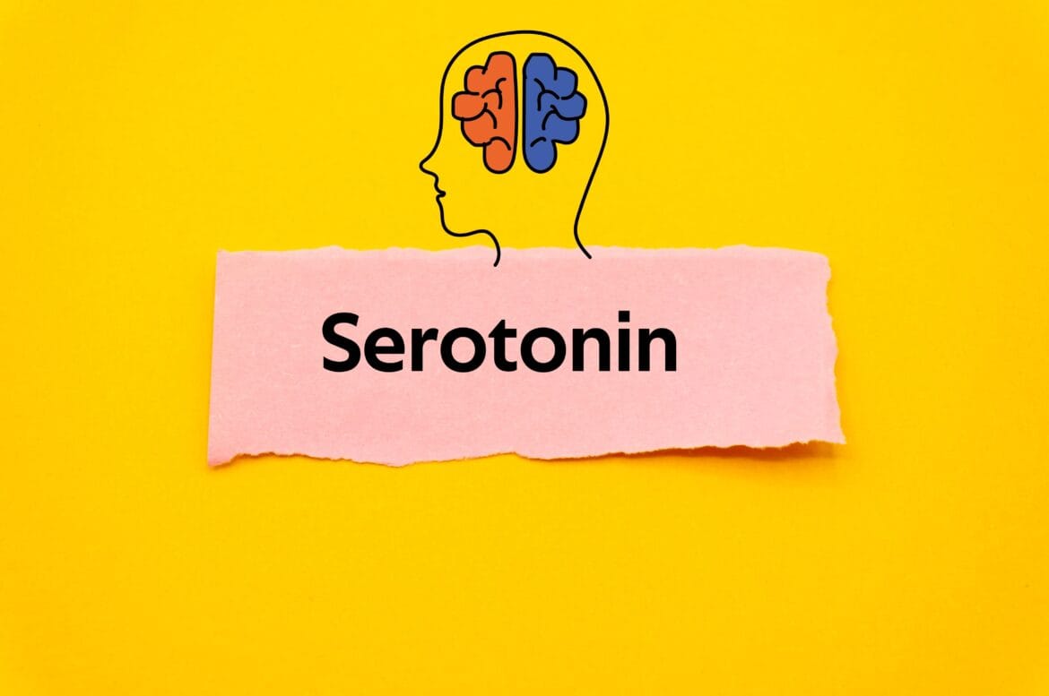fungsi serotonin